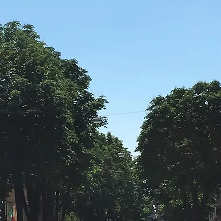 Alojamento de Acomodação e Pequeno-almoço Sterlizia