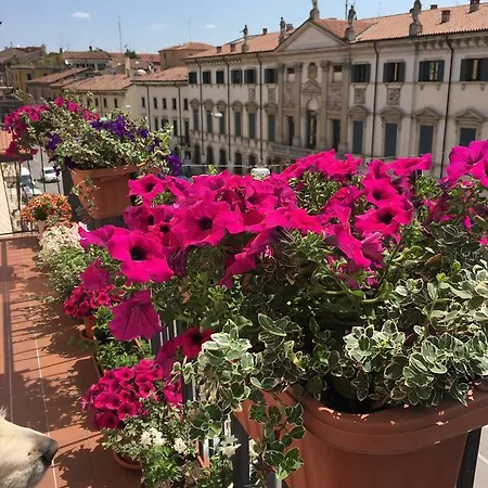 Sterlizia * Verona